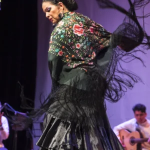 Show de Flamenco